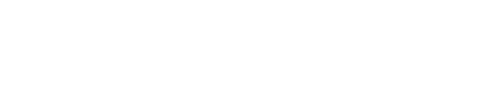 AnyMag Extended Demo